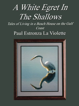 Cover of A White Egret in the Shallows