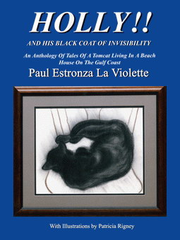 Cover of Holly!! and His Black Coat of Invisibility
