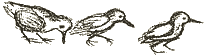 Illustration from The Way to Stone Hill