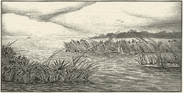 Art from 'Where the Blue Herons Dance.'