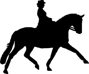Dressage