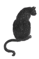 illustration of Holly