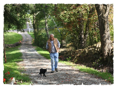 Cover Art from The Way to Stone Hill