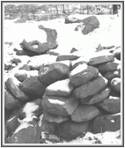 Art from 'The Way to Stone Hill: A Small Farm On Gray Station Road'