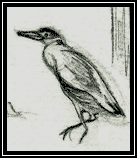 Art from &rsquo;A White Egret in the Shallows: Tales of Living in a Beach House on the Gulf Coast.&rsquo;